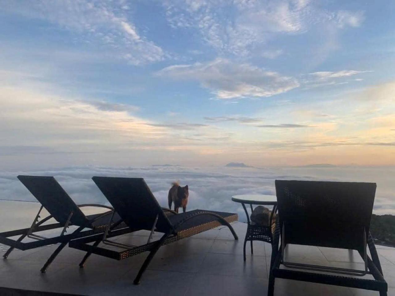 Chuon Chuon Villa Homestay Tam Dao Tam Ðảo Exterior foto
